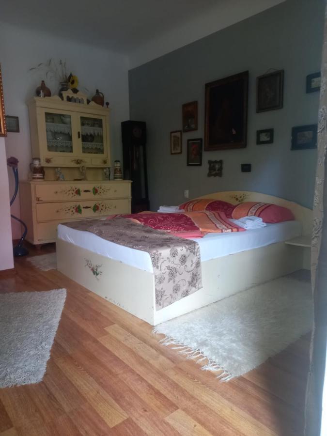 Appartement Casa Elena à Sighişoara Extérieur photo