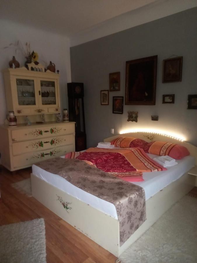 Appartement Casa Elena à Sighişoara Extérieur photo