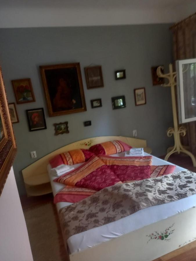 Appartement Casa Elena à Sighişoara Extérieur photo